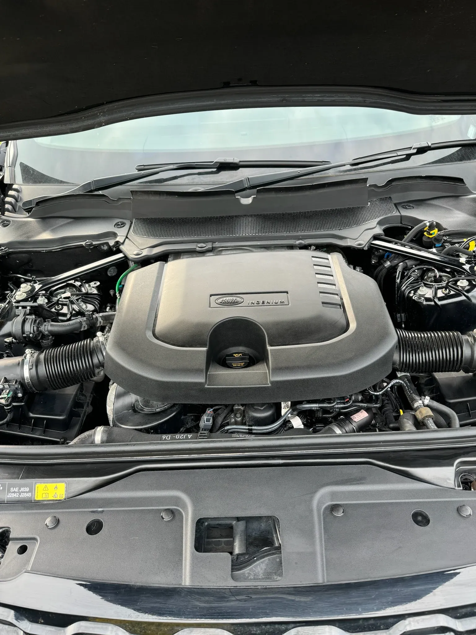 Engine bay cleaned after detail